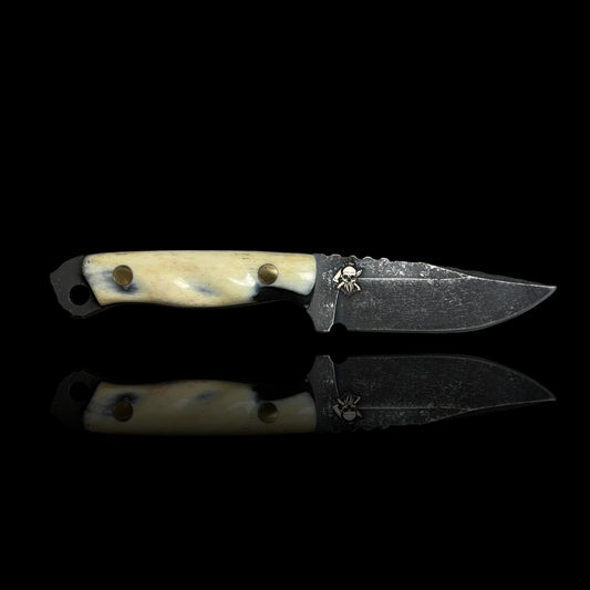 Human Bone Micro Fieldcraft- Human Tibia Bone.