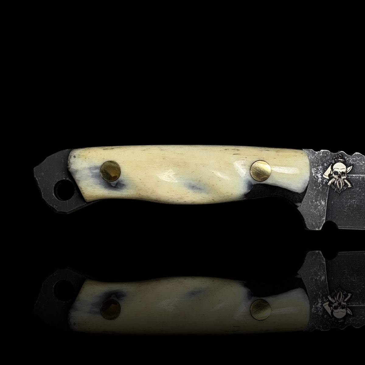 Human Bone Micro Fieldcraft- Human Tibia Bone.