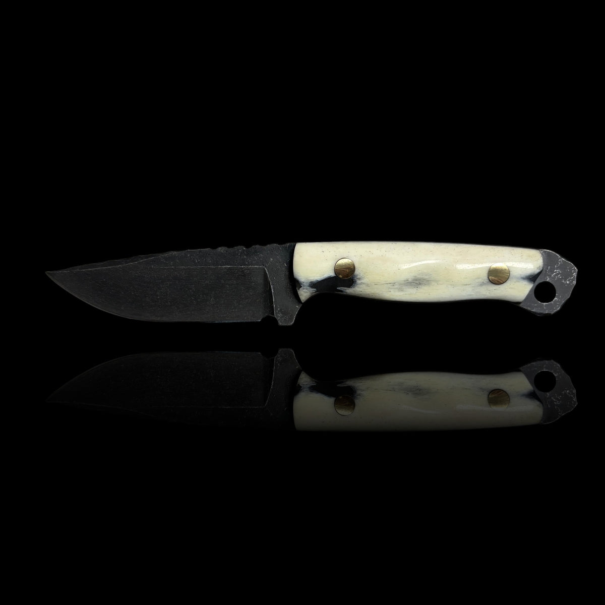 Human Bone Micro Fieldcraft- Human Tibia Bone.