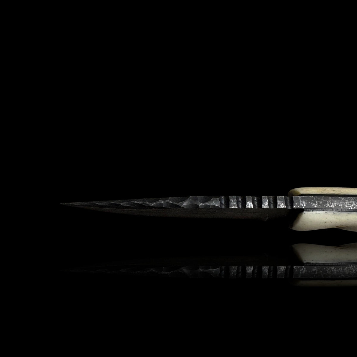 Human Bone Micro Fieldcraft- Human Tibia Bone.
